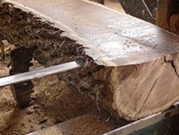 Q910CT Carbide Rip Portable Mill and Resaw Blades in action